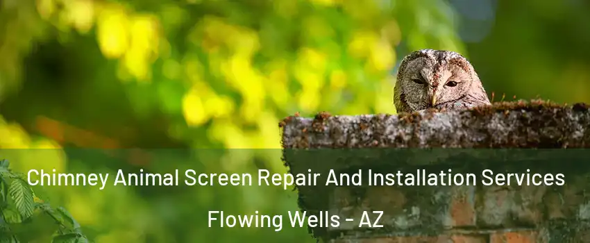 Chimney Animal Screen Repair And Installation Services Flowing Wells - AZ