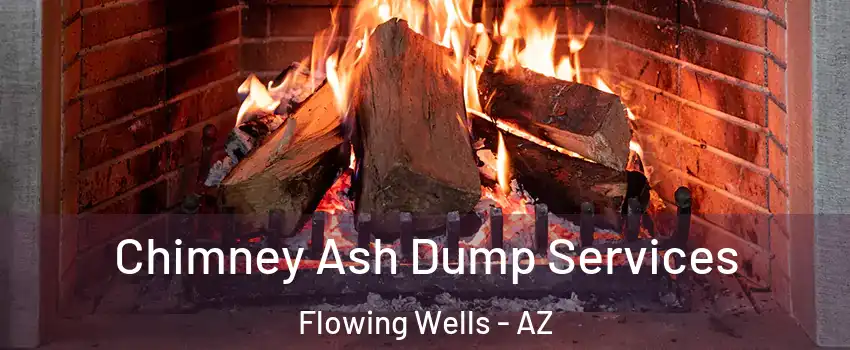  Chimney Ash Dump Services Flowing Wells - AZ
