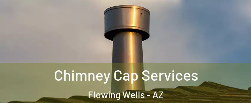  Chimney Cap Services Flowing Wells - AZ
