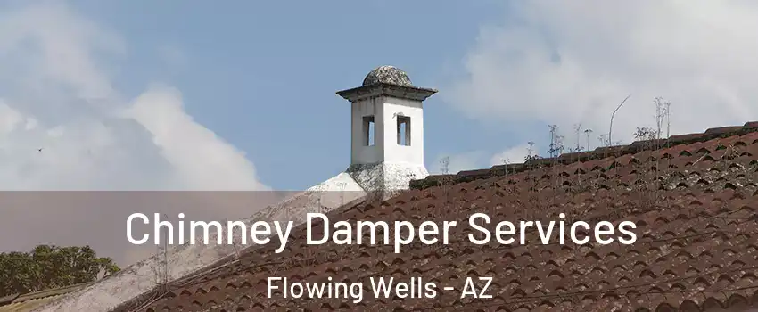  Chimney Damper Services Flowing Wells - AZ