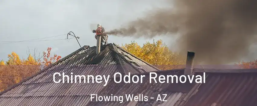  Chimney Odor Removal Flowing Wells - AZ