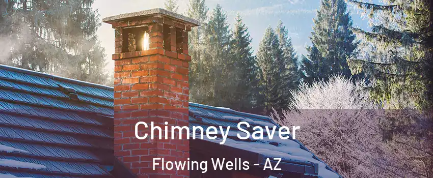 Chimney Saver Flowing Wells - AZ