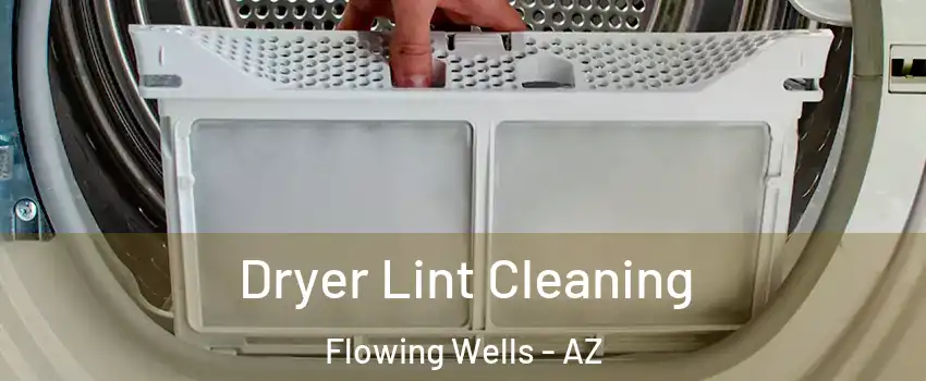  Dryer Lint Cleaning Flowing Wells - AZ