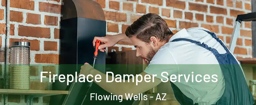  Fireplace Damper Services Flowing Wells - AZ