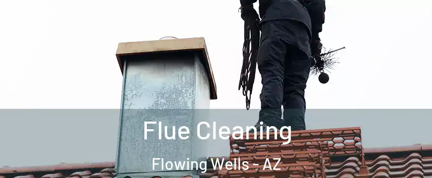  Flue Cleaning Flowing Wells - AZ