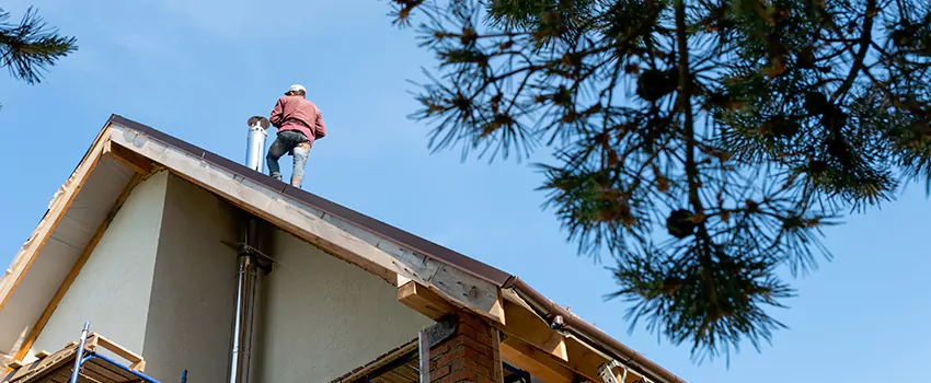 Birds Removal Contractors from Chimney in Flowing Wells, AZ