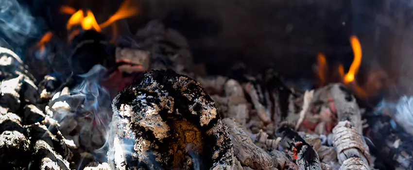 Creosote Removal Experts in Flowing Wells, AZ