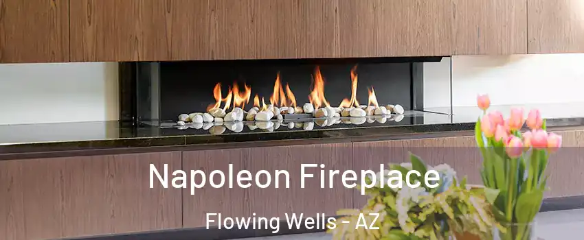  Napoleon Fireplace Flowing Wells - AZ