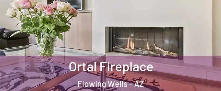  Ortal Fireplace Flowing Wells - AZ